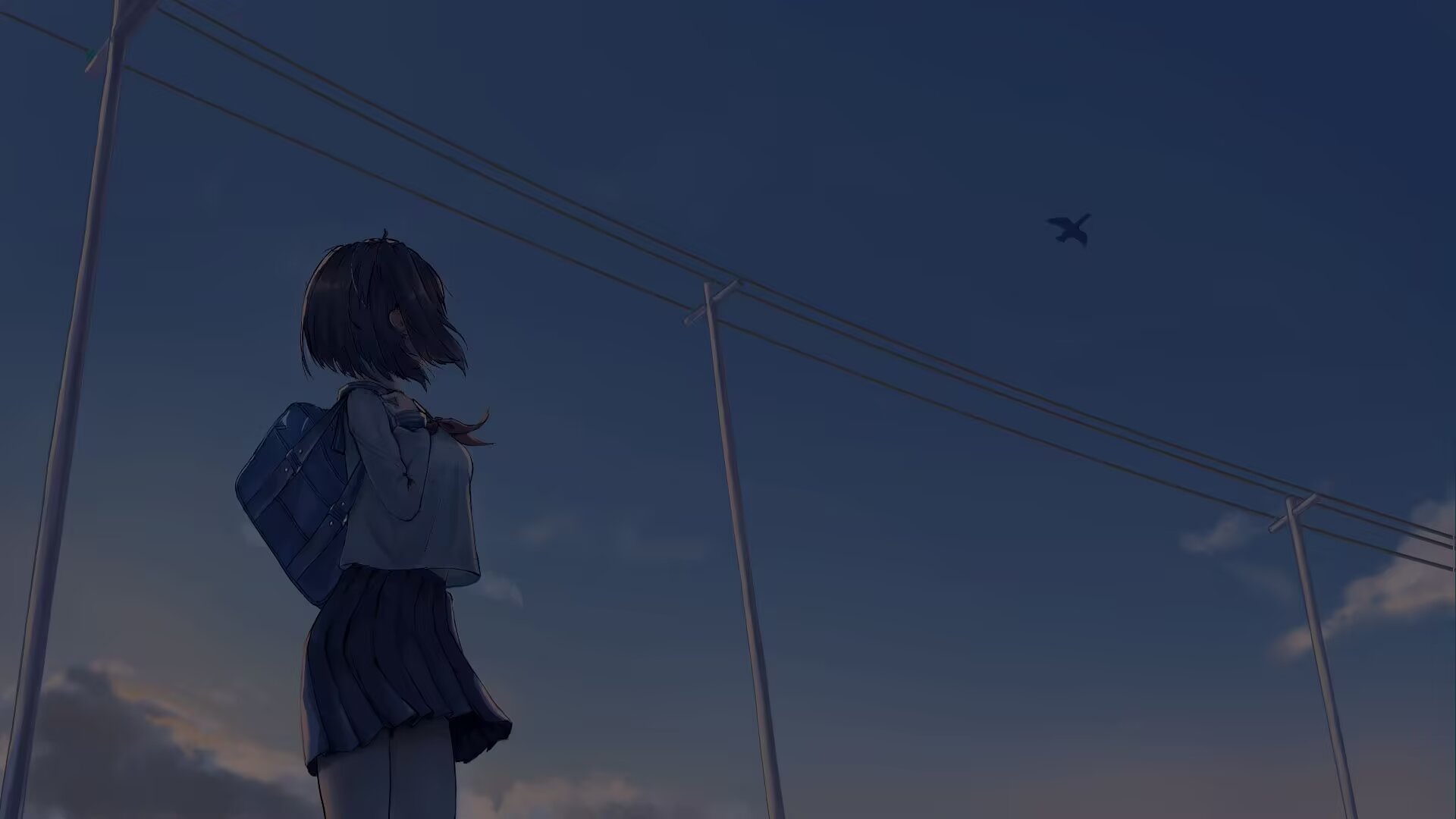 Cover Image of the Post